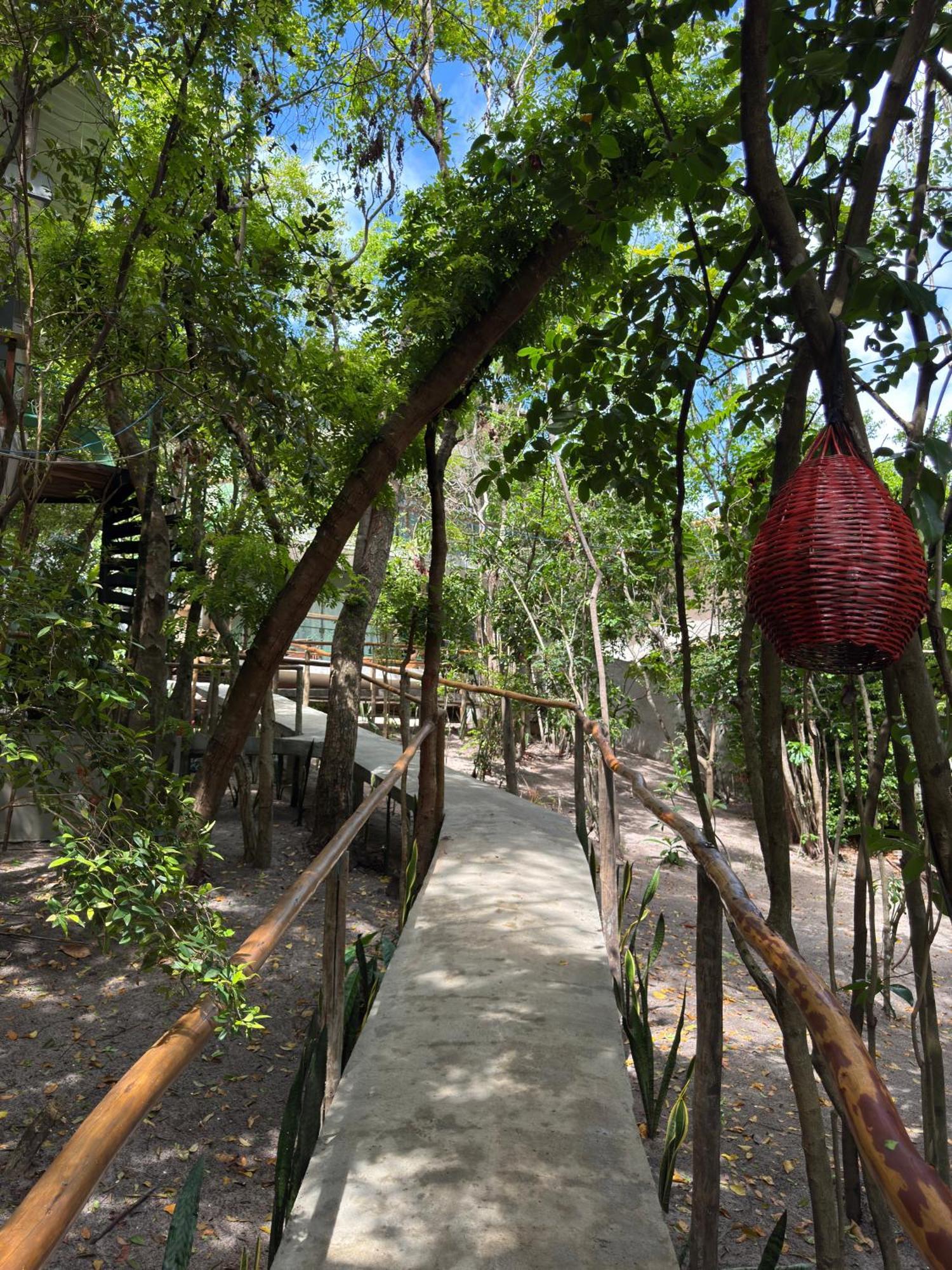 Ninhos Da Pipa Villa Praia de Pipa Exterior foto